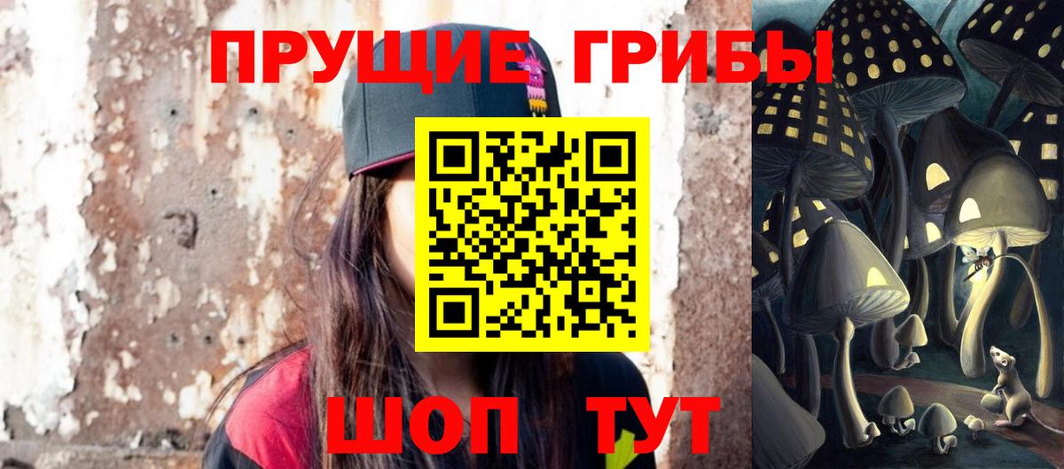 Аша  Псилоцибиновые грибы Cubensis  Вход с VPN 